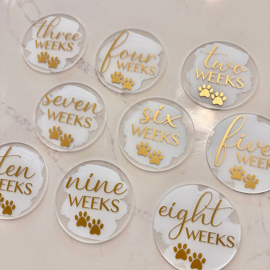 Acrylic Puppy Milestone Discs | Circle | Acrylic Milestone Discs | Weekly | Pet Gifts | Puppy Gifts | Puppies On The Way | Dog Gifts