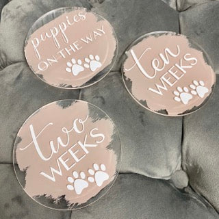 Acrylic Puppy Milestone Discs | Circle | Acrylic Milestone Discs | Weekly | Pet Gifts | Puppy Gifts | Puppies On The Way | Dog Gifts